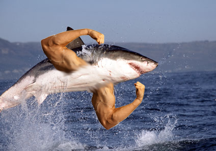 Shark with arms